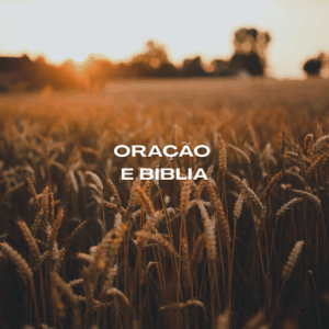 Oração e Bíblia: dois pilares essenciais na vida de uma mulher intercessora